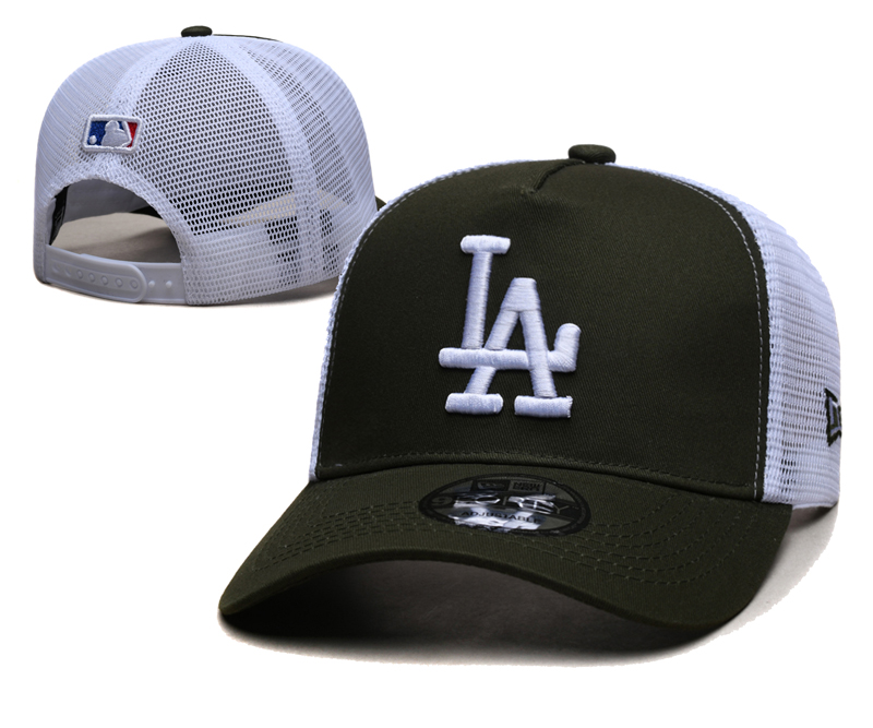 2024 MLB Los Angeles Dodgers Hat TX202411051